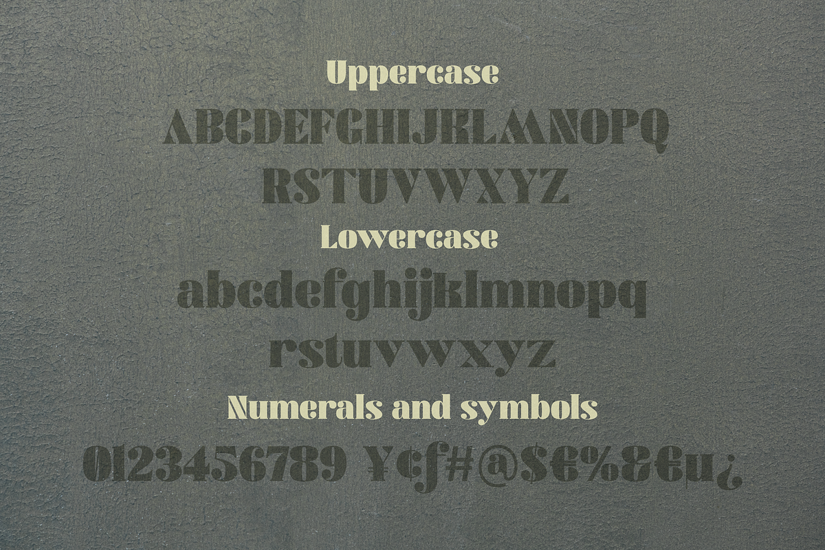 Agaitha | Modern and Elegant Serif, a Serif Font by Graphue (Photo 9 of 9)