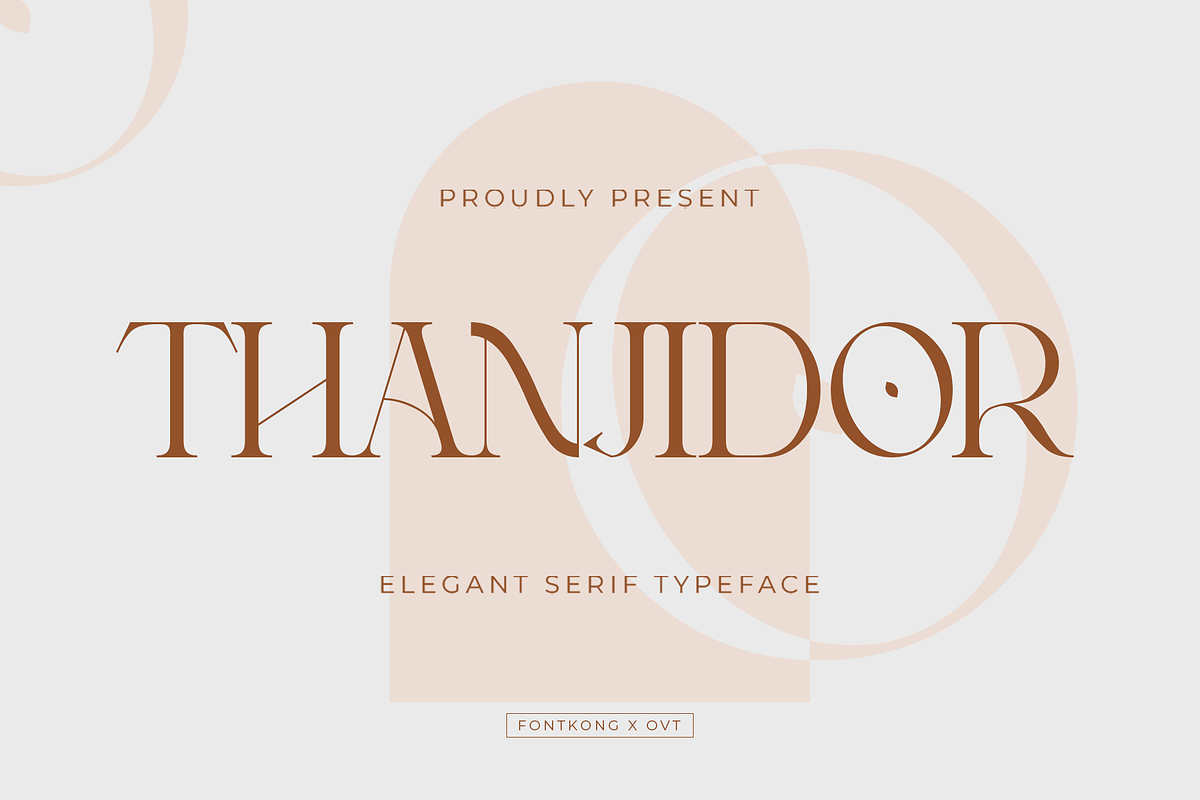 Thanjidor - Elegant Serif Typeface, a Serif Font by overlaytemplates (Photo 1 of 5)