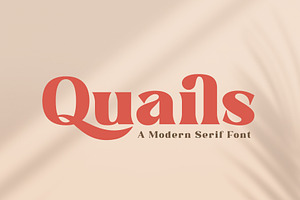 Quails | A Modern Display Serif
