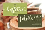 Lisaline, a Script Font by Artisan Themes (Thumbnail 7 of 11)