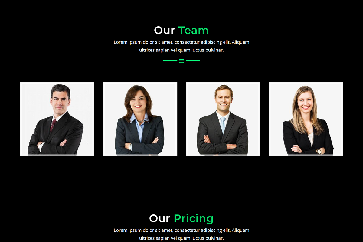 Digital Marketing Agency Website, a Bootstrap Template by Themeplaza (Photo 5 of 7)