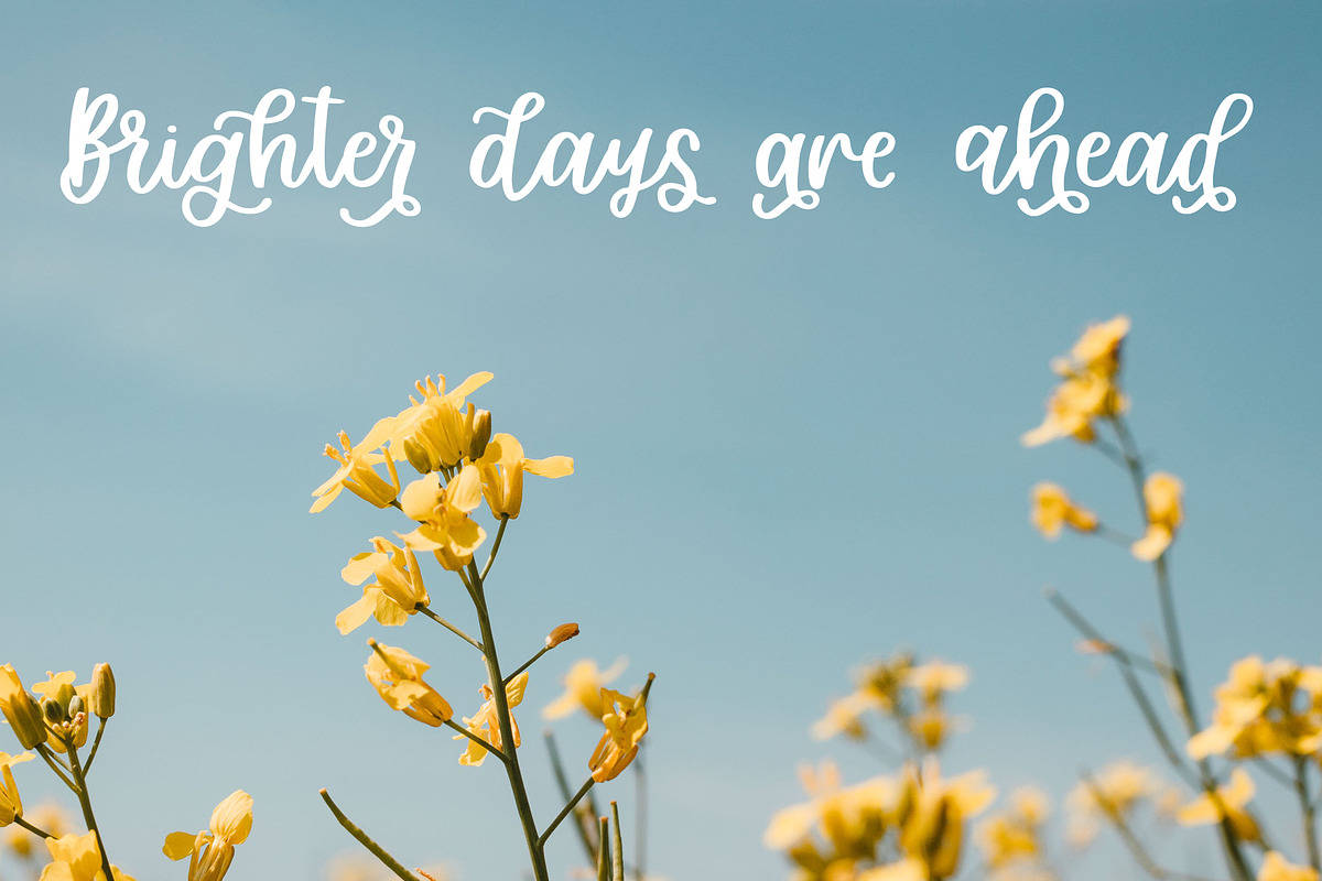 Garden Party, Thick Script Font preview 5