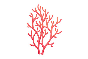 Seaweed and corals isolated on white, an Animal Illustration by the8monkey