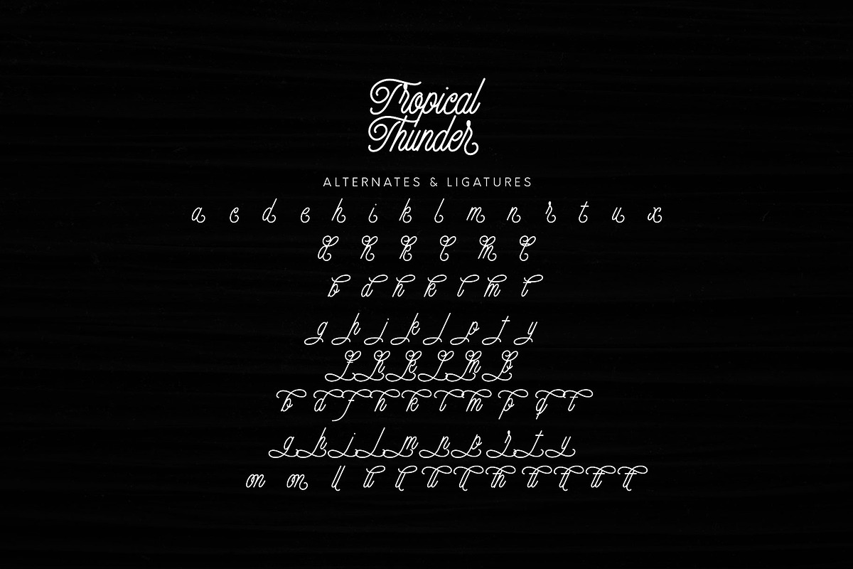 Tropical Thunder-Monoline Script preview 7