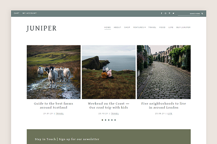 Juniper Theme • Genesis Child Theme, a WordPress Template by Code + Coconut