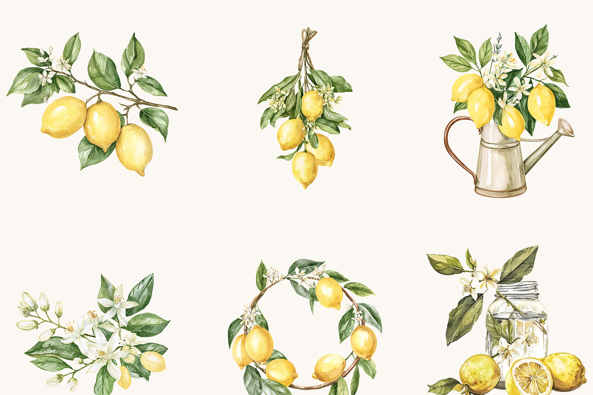 Watercolor Lemon Clipart Bundle, an Object Illustration by BusyDaydesign (Photo 6 of 9)