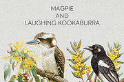 Australian Native Birds Clipart PNG, an Animal Illustration by Pawcasso's Portraits (Thumbnail 3 of 7)
