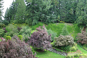 Courtenay slough, Vancouver island, Canada, a Nature Photo by uncreative (Thumbnail 2 of 2)