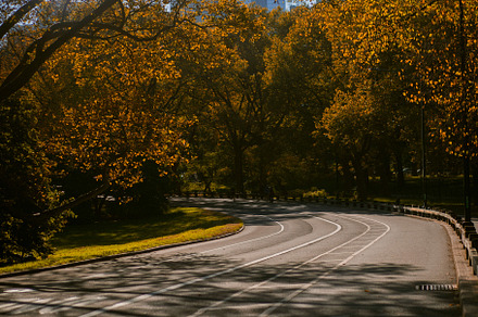 New York City Manhattan Central Park, a Nature Photo by EVA.studio