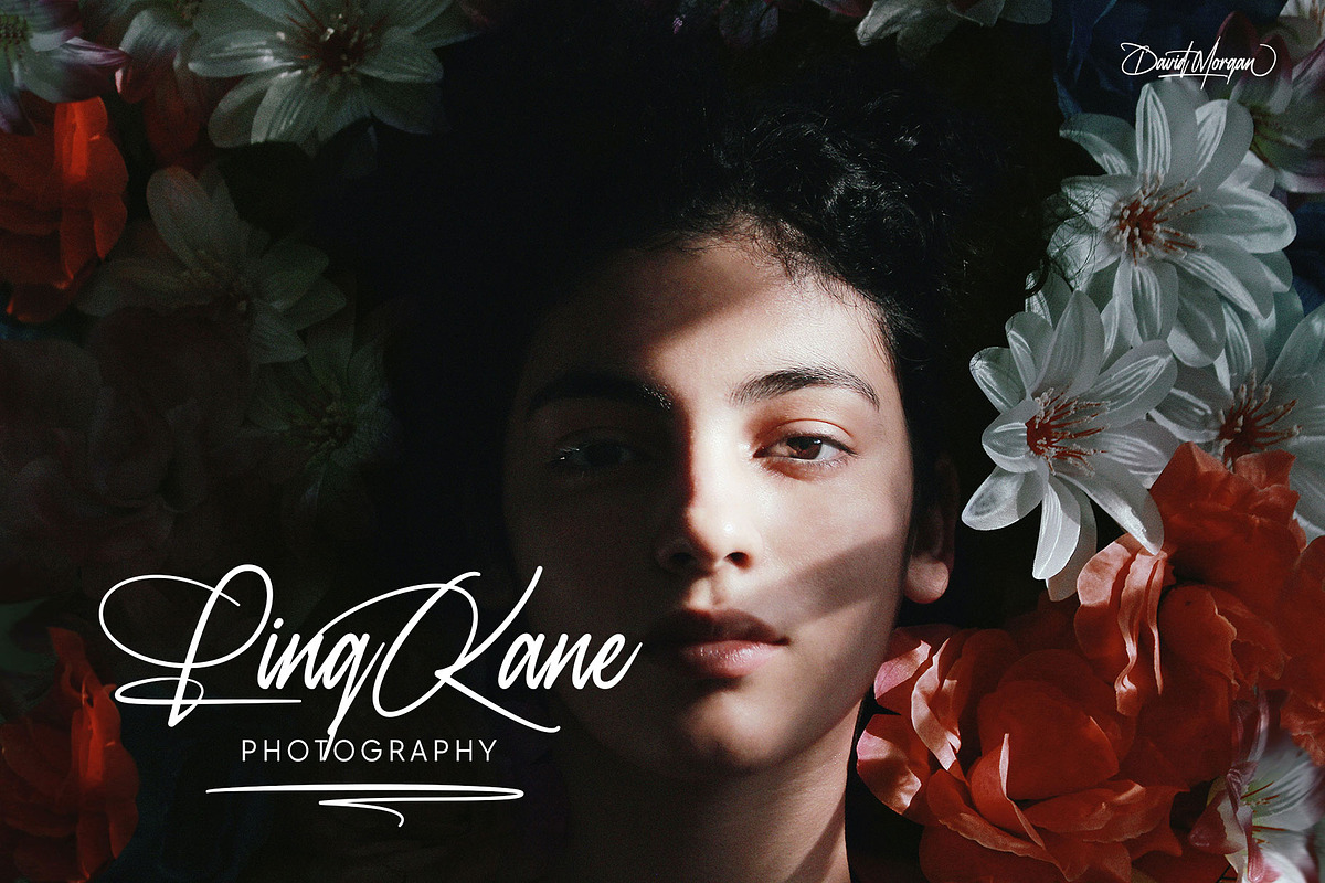 David Morgan | Stylish Signature, a Script Font by Lemonthe (Photo 7 of 12)