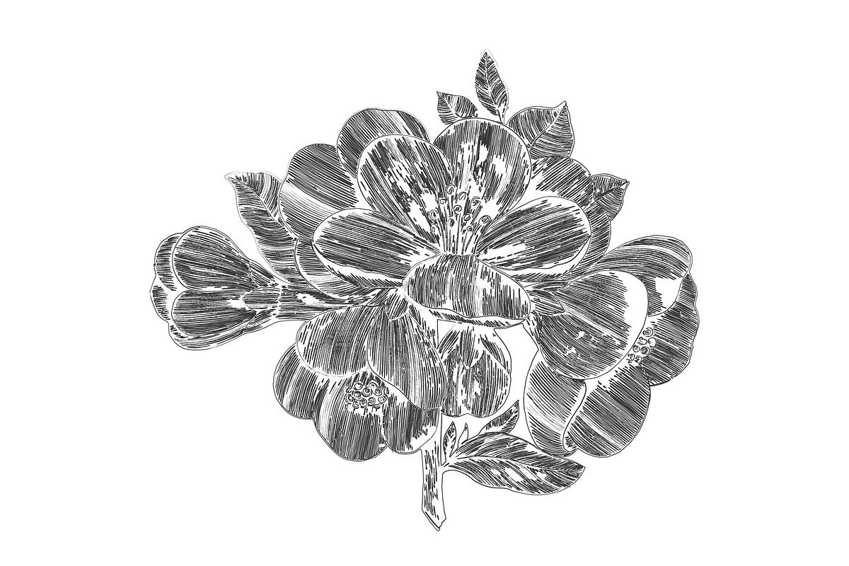 157 Pencil & Charcoal Illustrator Brushes preview 6