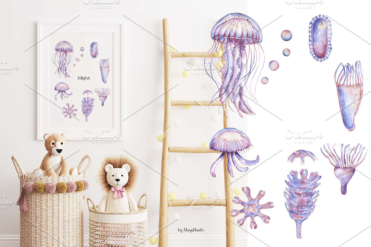 Watercolor Jellyfish Life Cycle Set, an Education Illustration by MayaNavits (Photo 4 of 6)