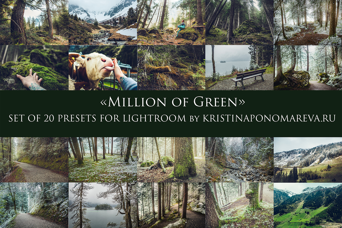 MILLION OF GREEN-Set of 20presets Lr, an Action Add-On by Graphics, Presets, Photos (Photo 1 of 21)