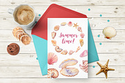 Watercolor Seashells, an Illustration by Irina Diasli (Thumbnail 9 of 9)