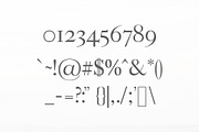 Adallyn Serif Font Family, a Serif Font by Creativetacos (Thumbnail 3 of 7)