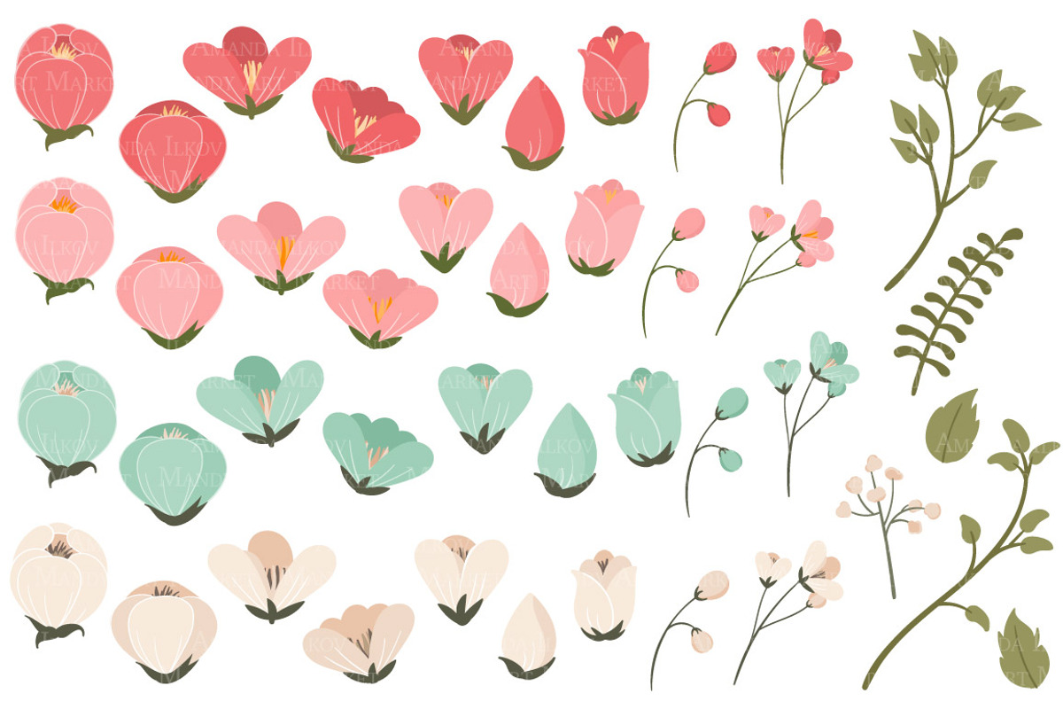 Mint & Coral Flowers Clipart, an Illustration by Amanda Ilkov (Photo 3 of 3)