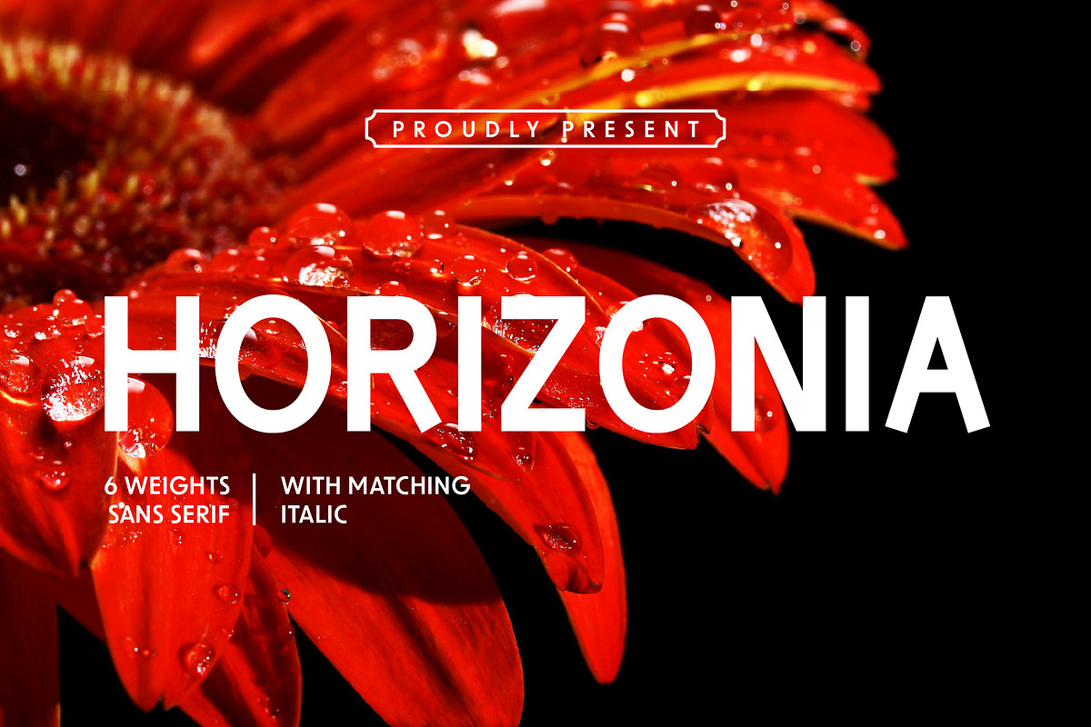 Horizonia - Sans Serif Font, a Serif Font by Pikgura (Photo 1 of 6)