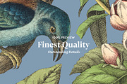 Bird's Garden - Vintage Pattern, a Pattern Graphic by Graphic Goods (Thumbnail 7 of 9)