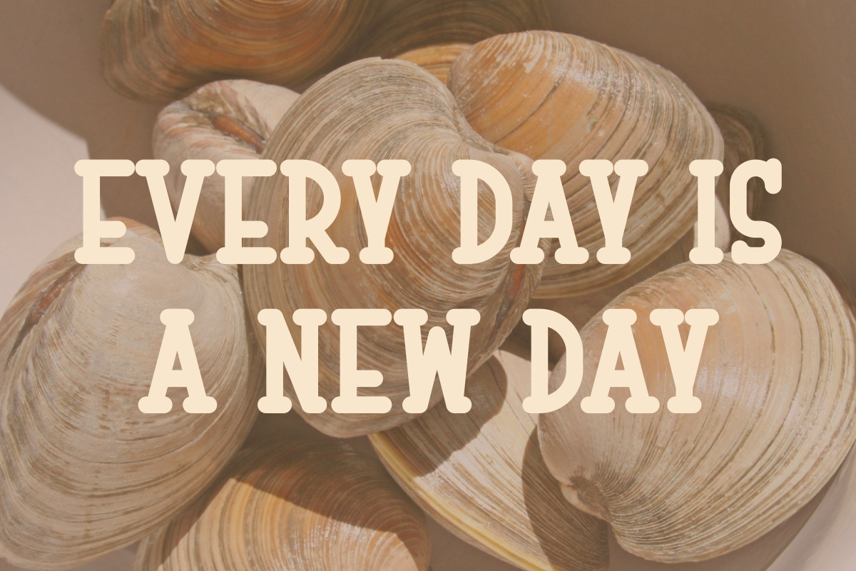 Vintage Clamshell - Playful Font, a Sans Serif Font by Pian45 Studio (Photo 3 of 6)
