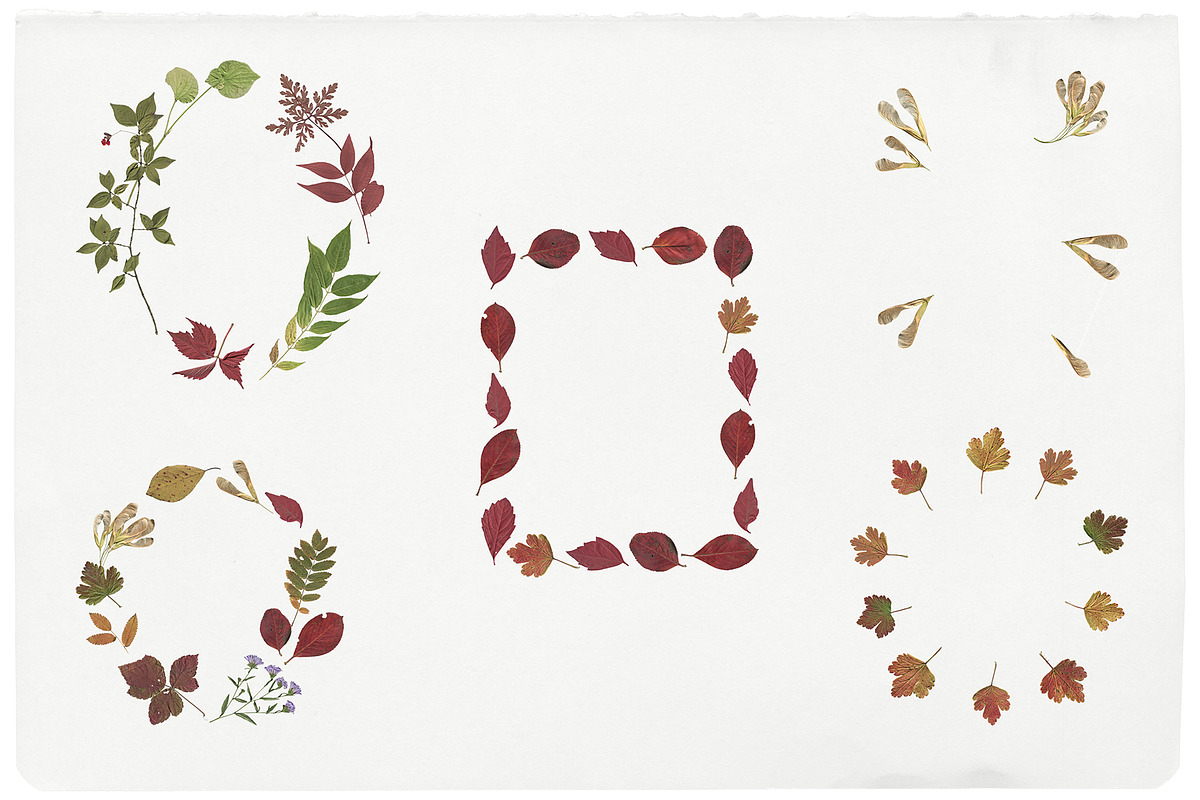 Fall Press & Thread - Collage Kit, an Object Graphic by Watercolor_Ma (Photo 9 of 10)