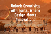 Westblue, a Sans Serif Font by Ditatype (Thumbnail 7 of 10)
