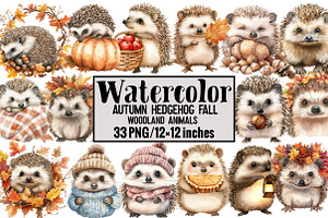 Autumn Hedgehog Fall Woodland Animal, an Illustration by Design Market