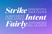 Colagent Family | Variable Font, a Serif Font by Mulkan Nazir (Thumbnail 5 of 15)