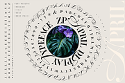 ZP APRIL - Luxury Hybrid Font, a Script Font by Zebra Press (Thumbnail 12 of 13)