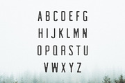 Clarra Sans Serif Font Family, a Sans Serif Font by Creativetacos (Thumbnail 2 of 6)