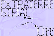 Lifeform Typeface, a Font by Supremat (Thumbnail 5 of 7)