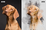 Watercolor Paint Photoshop Template, an Action Add-On by Shovajit (Thumbnail 3 of 5)