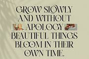 Lovine, a Serif Font by zeenesia (Thumbnail 15 of 17)