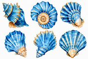 Watercolor Seashell Clipart, an Illustration by Libby Wishes (Thumbnail 3 of 5)