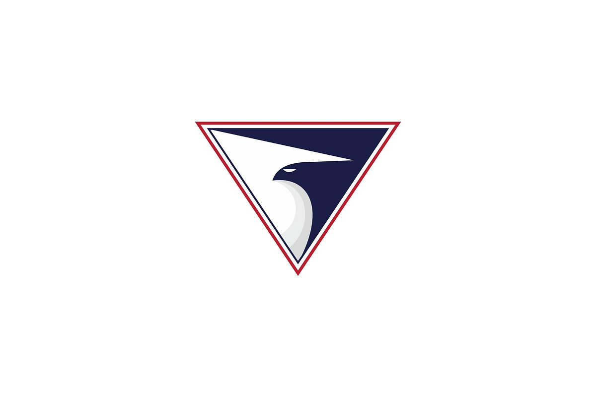 Eagle Logo, a Branding & Logo Template by mrshamsjaman