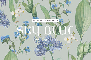 Botanic Blue Flowers & Pattern, an Object Illustration by likorbut