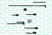 Hi-Res Spatter Set, a Texture Graphic by Hogwash Studio (Thumbnail 2 of 5)