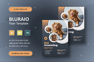 Bluraio - Flyer Template, a Flyer Template by StreaksideStd