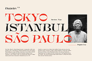 Bornice Modern Serif, a Serif Font by Damelev (Thumbnail 2 of 13)