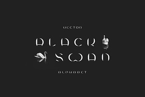 Vector Alphabet. Black Swan