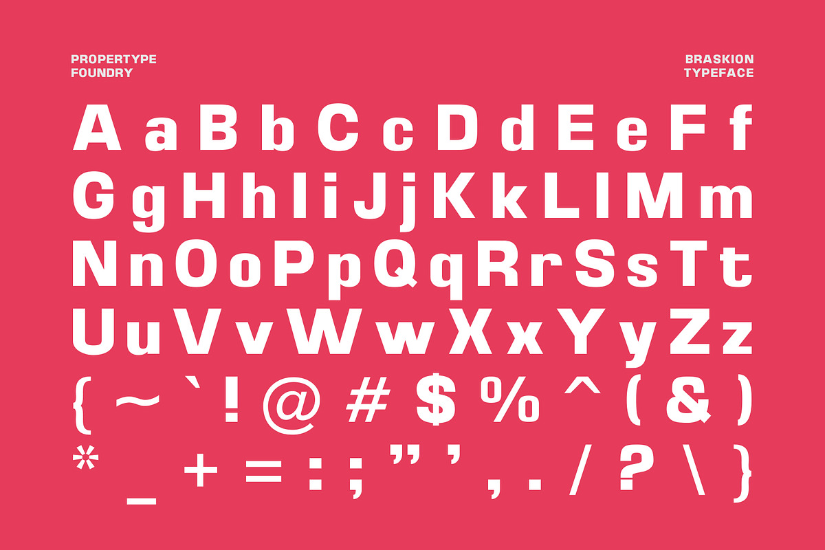 Braskion, a Sans Serif Font by Propertype (Photo 12 of 15)