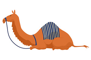 Middle east camel. Arabic, an Animal Illustration by Things for designers