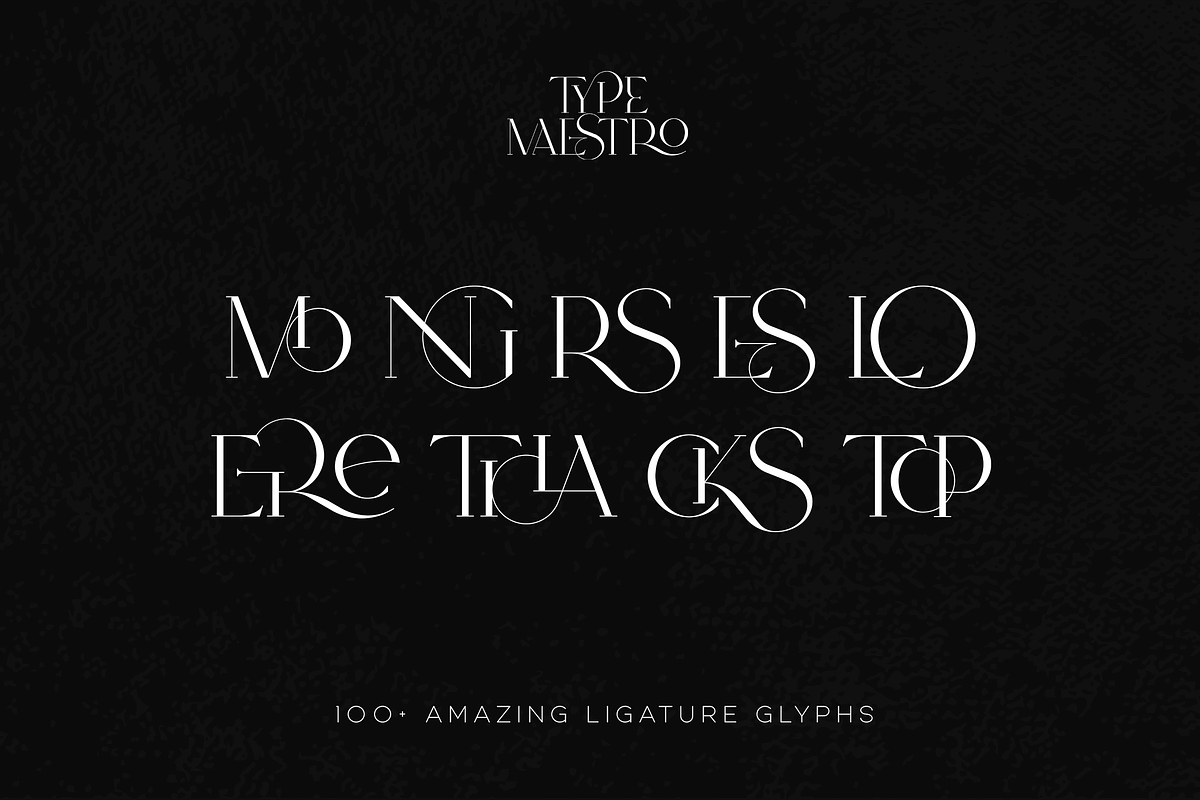 SALE! Type Maestro -  serif font, a Serif Font by VP Fonts (Photo 15 of 25)