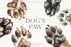 Dog's Paw