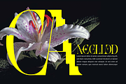 However - Pixel Serif Font, a Serif Font by 177Studio (Thumbnail 6 of 8)