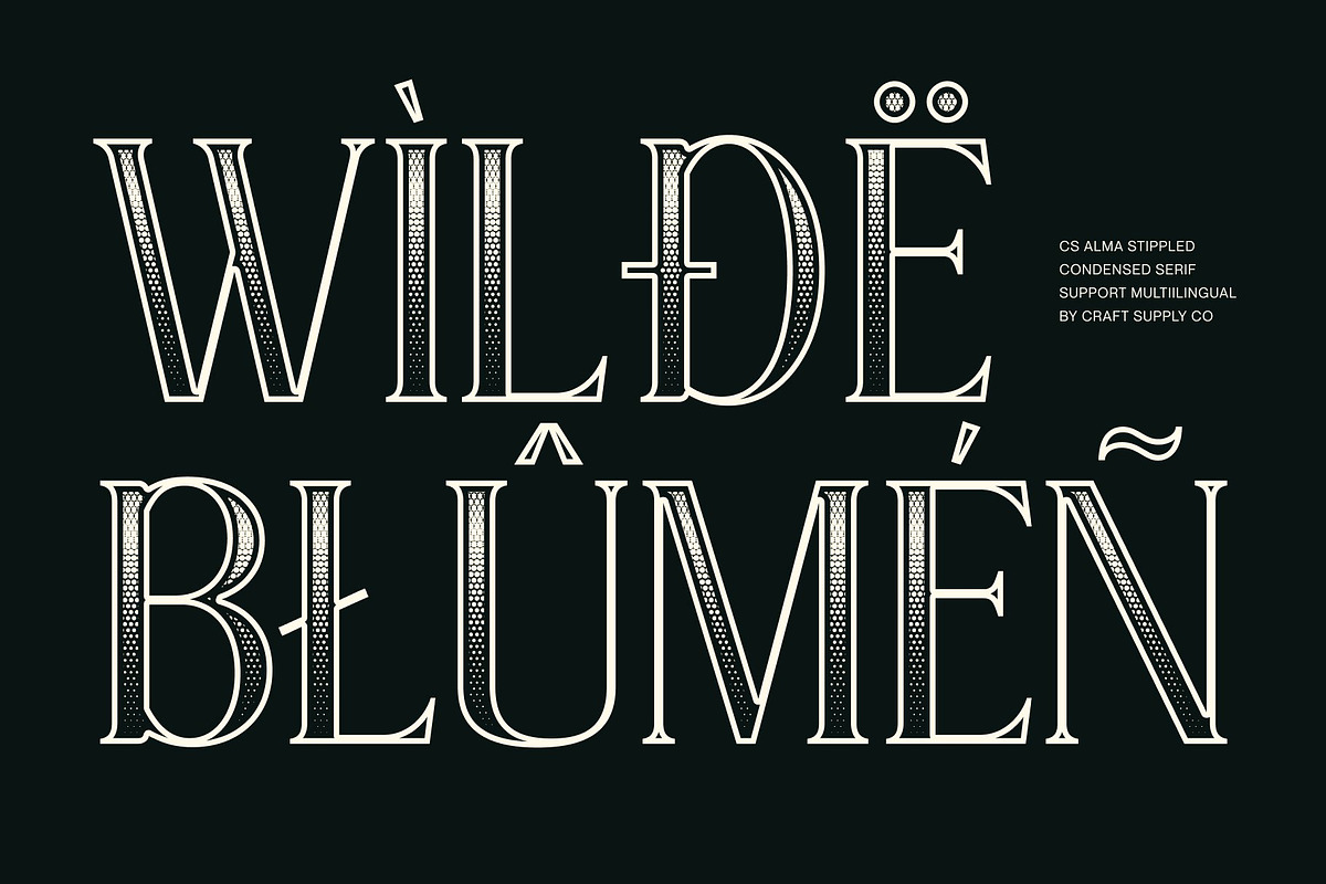 CS Alma Stippled, a Serif Font by Craft Supply Co. (Photo 7 of 8)