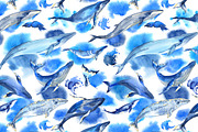 Watercolor whales, an Animal Illustration by Evgeniia Zagreeva (Thumbnail 5 of 5)