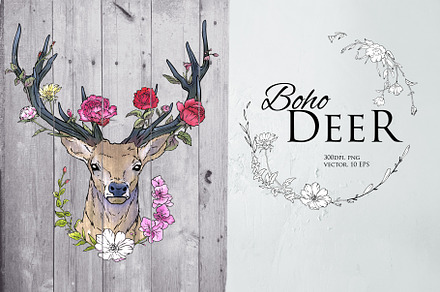 Deer illustration in line and color