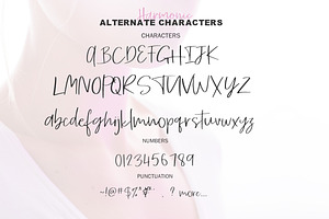 SIMPLE Harmonic Font Duo