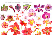 Tropical Flower Set, an Illustration by Mona Monash (Thumbnail 5 of 12)