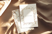 Gypsophila - watercolor flowers, an Object Illustration by ollalya (Thumbnail 2 of 8)